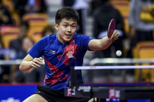 森林狼展现 森林狼展现