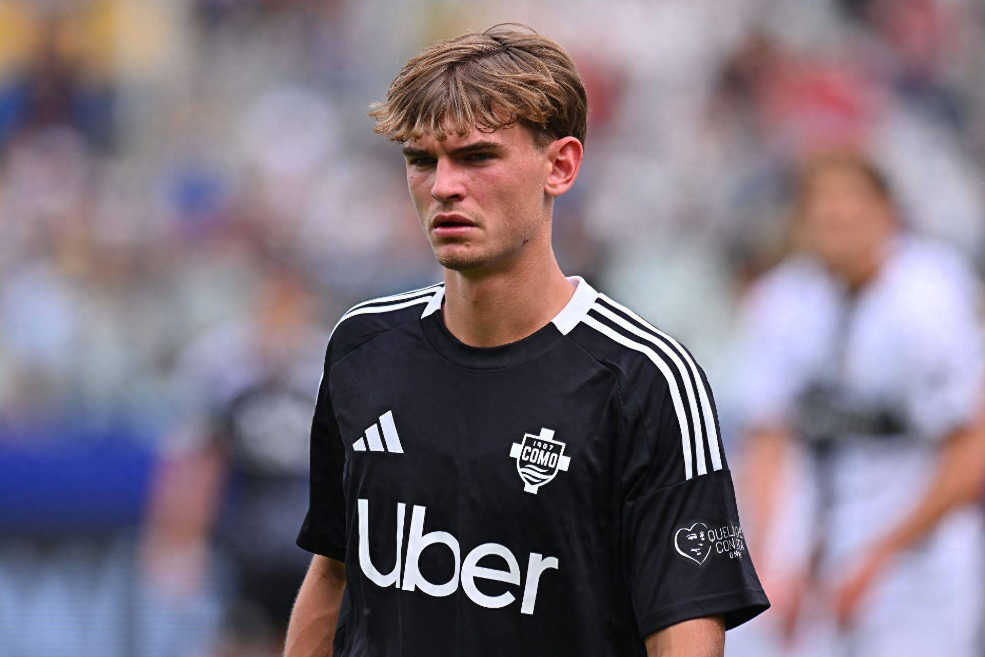 定地位提出 定地位提出